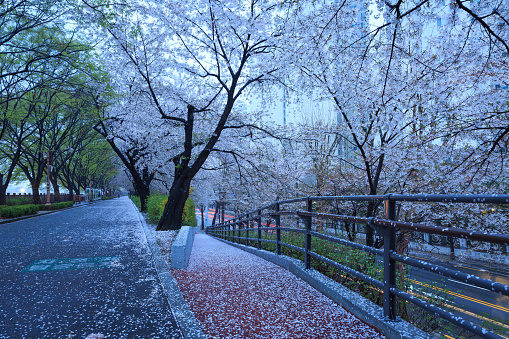 점점 추워지는 날씨