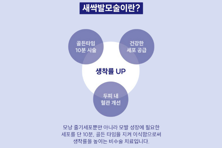 새싹발모술