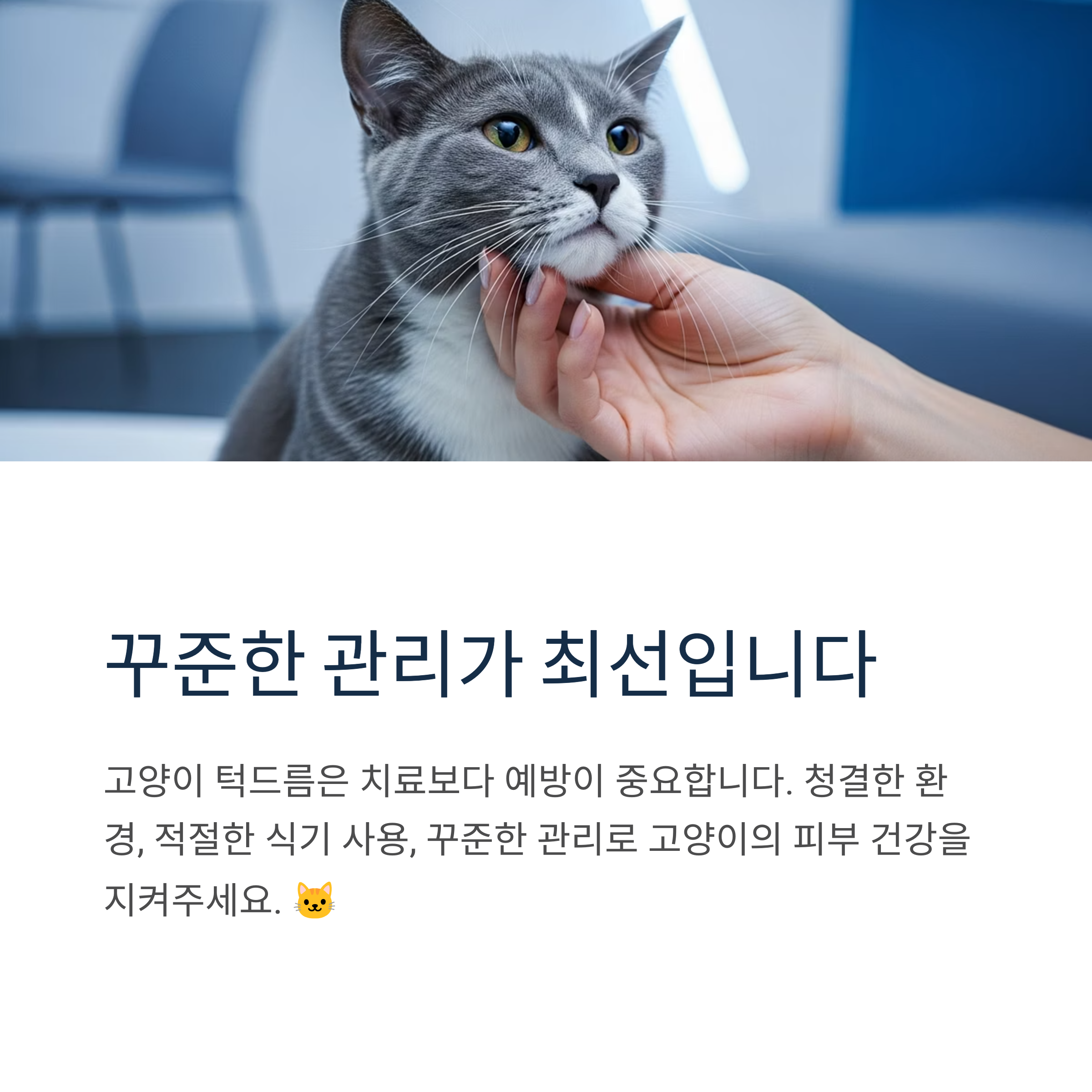 꾸준한 관리가 최선입니다