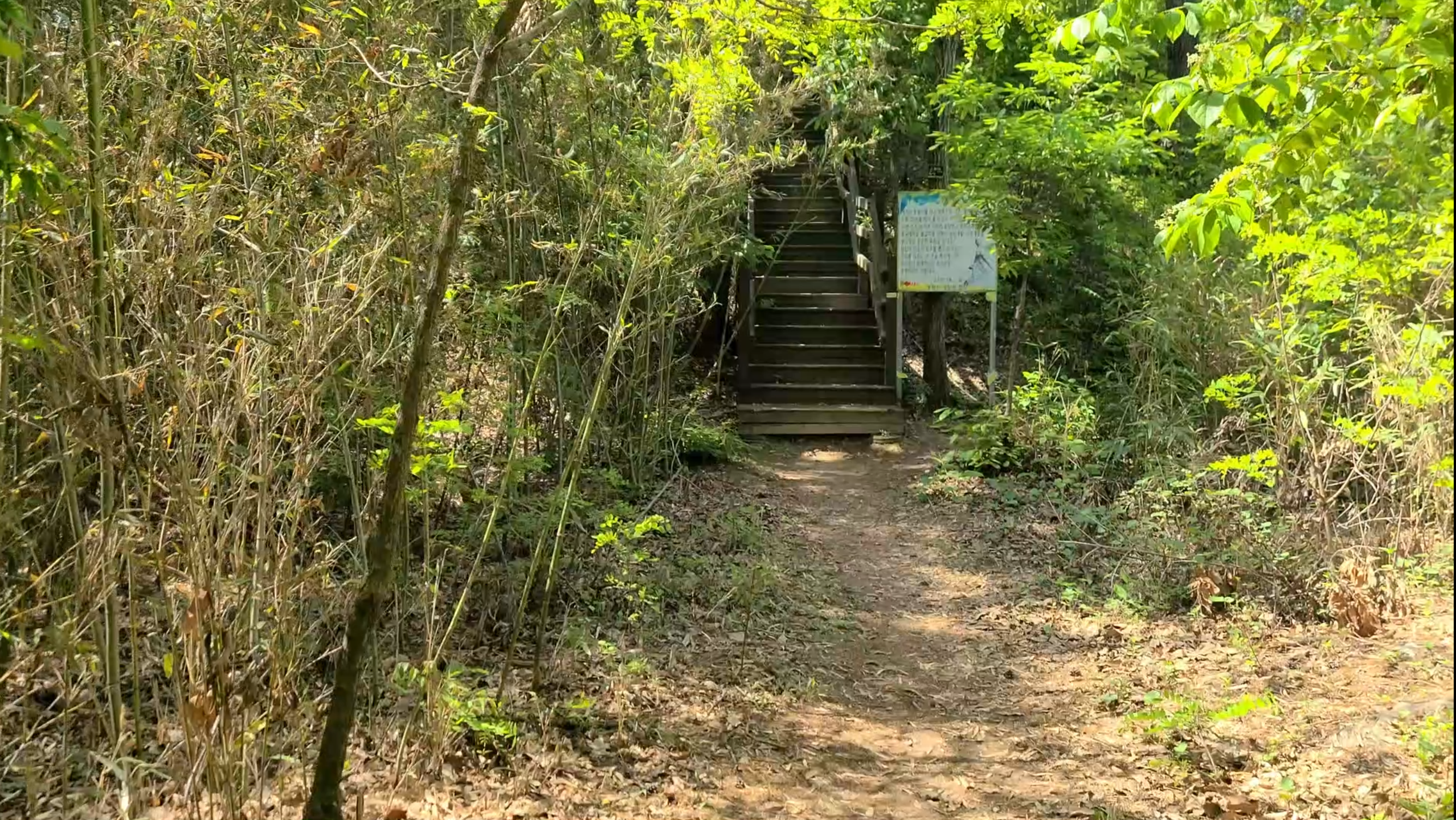 김해 봉하마을 봉화산