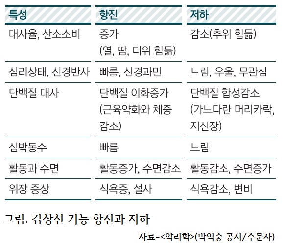 갑상선 약 부작용