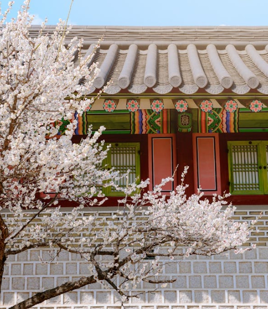 한국의 떡 종류 봉치떡