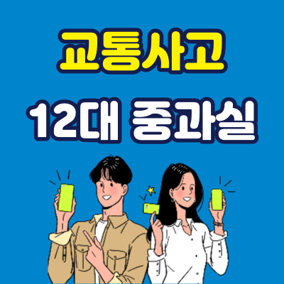 12대 중과실 교통사고