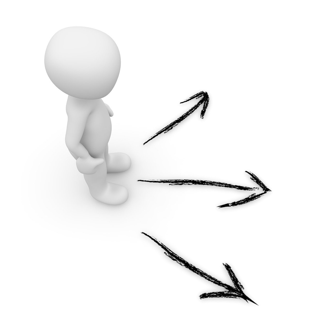 선택의 기로, 갈림길의 이미지