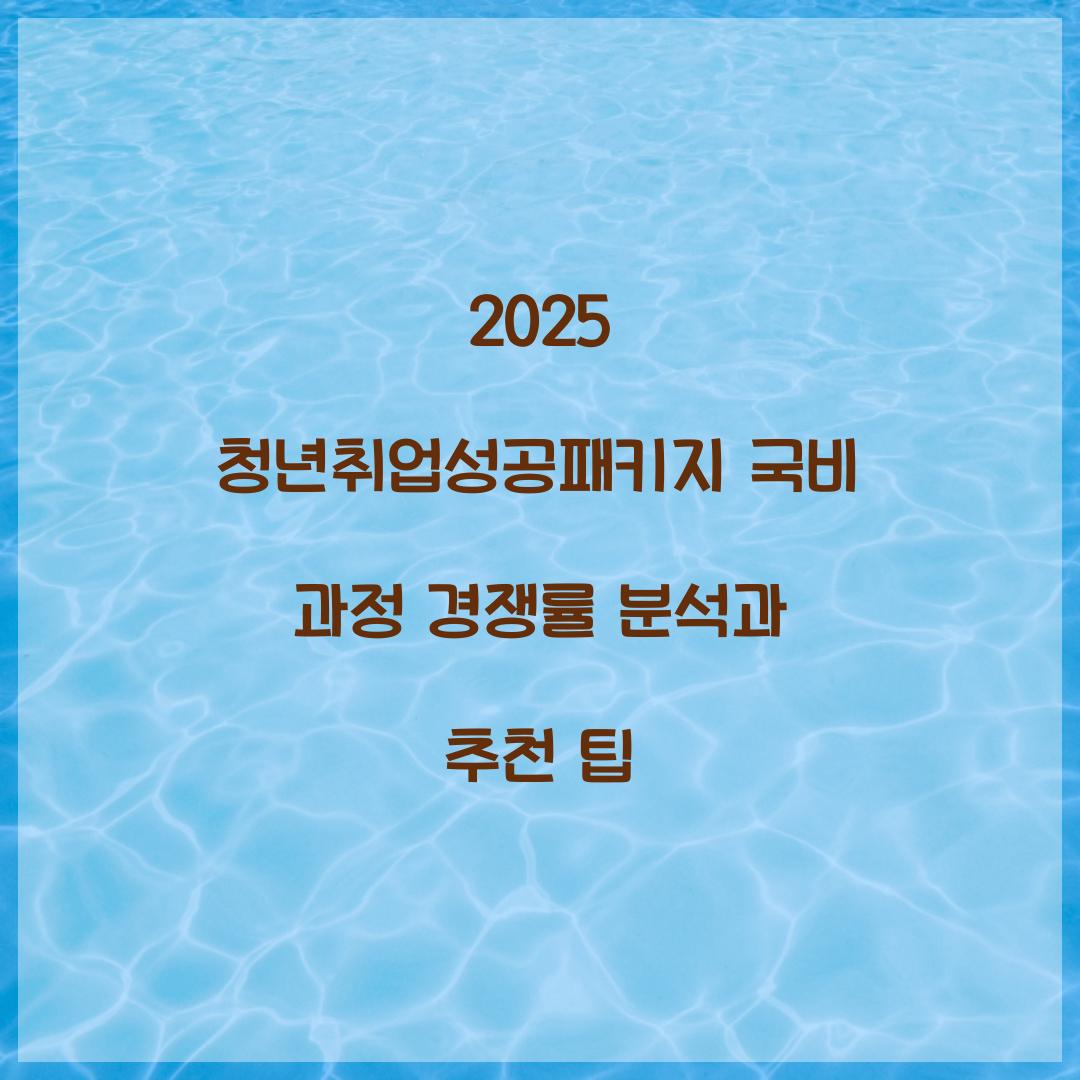 청년취업성공패키지 국비 과정 경쟁률 분석