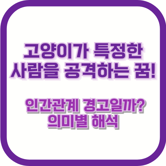 고양이가 특정한 사람을 공격하는 꿈! 인간관계 경고일까? 의미별 해석
