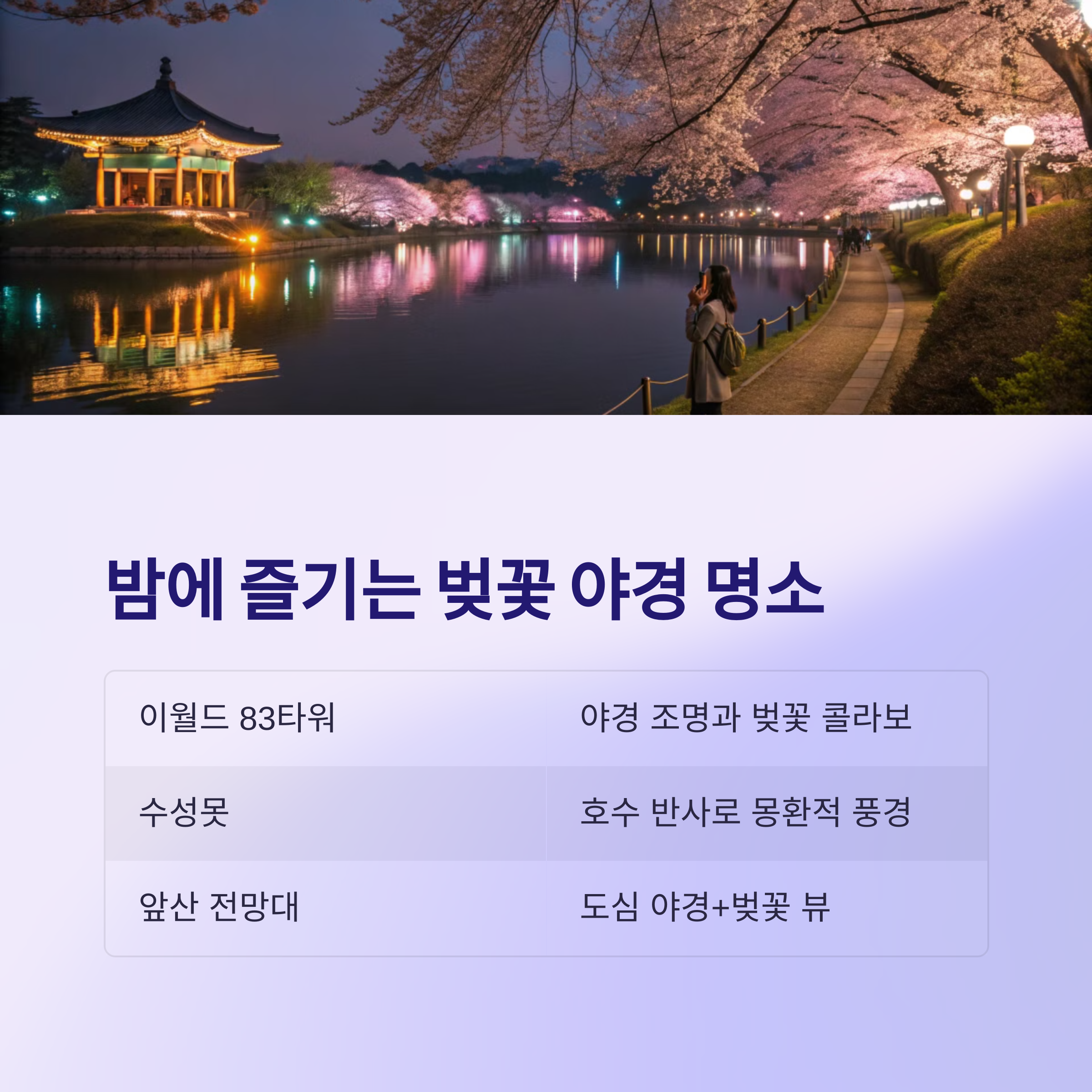 밤에도 즐기는 대구 벚꽃 야경