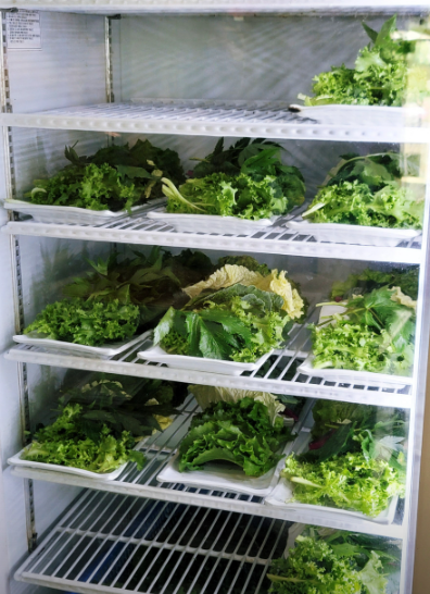 생생정보 성남 오징어제육쌈밥과 무제한칼국수 낙지쌈밥 주인맘대로 14&amp;#44;500원 장사의신 정보