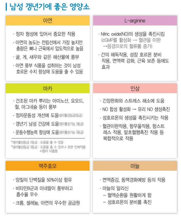 남성 갱년기 필요 영양소