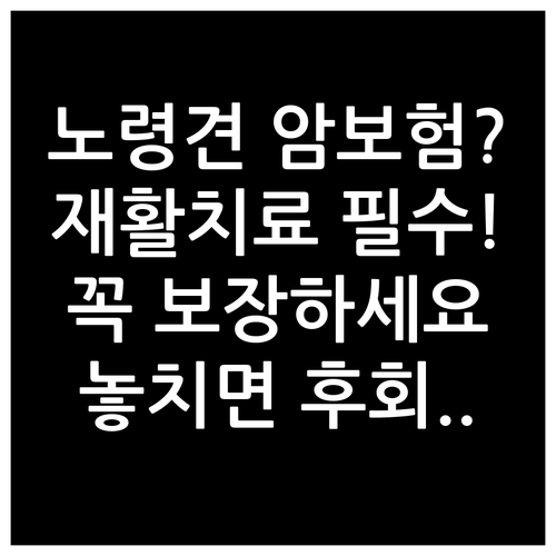 노령견 암보험과 재활치료, 이것만은 ..