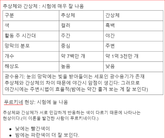 추상체와 간상체