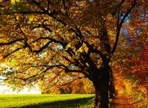 만성피로 푸는 특급 비법