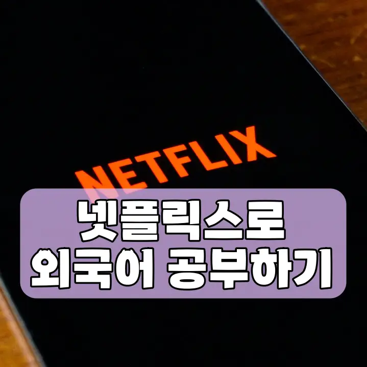 넷플릭스 일본어