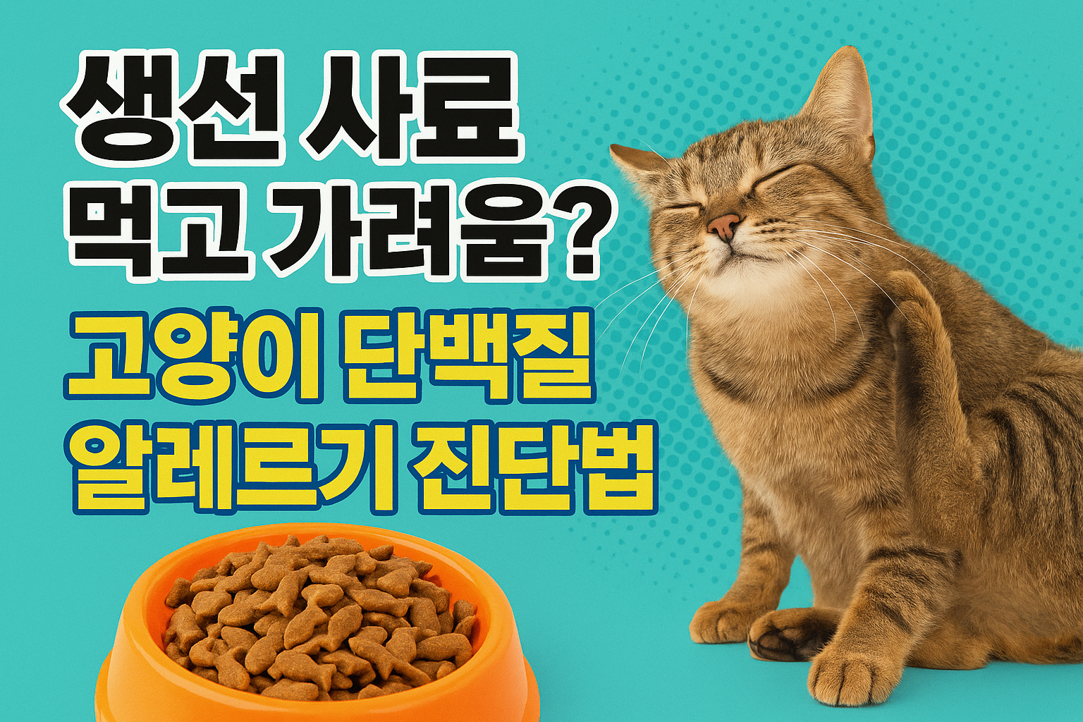 고양이 단백질 알레르기