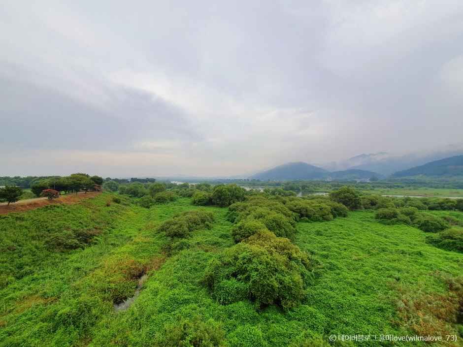 곡성 가볼만한곳 베스트10