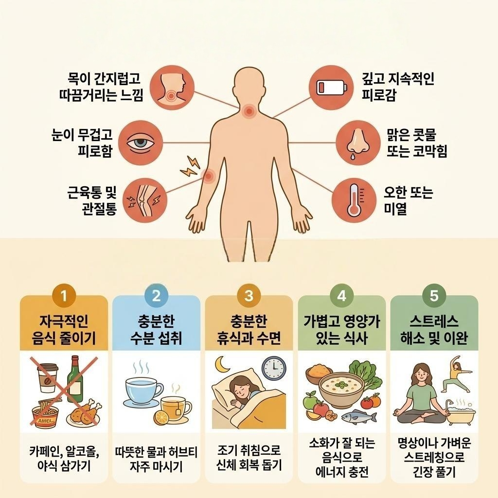 감기 걸리기 전 신호와 컨디션 회복법, &ldquo;아픈 건가?&rdquo; 싶을 때 하루를 살리는 루틴