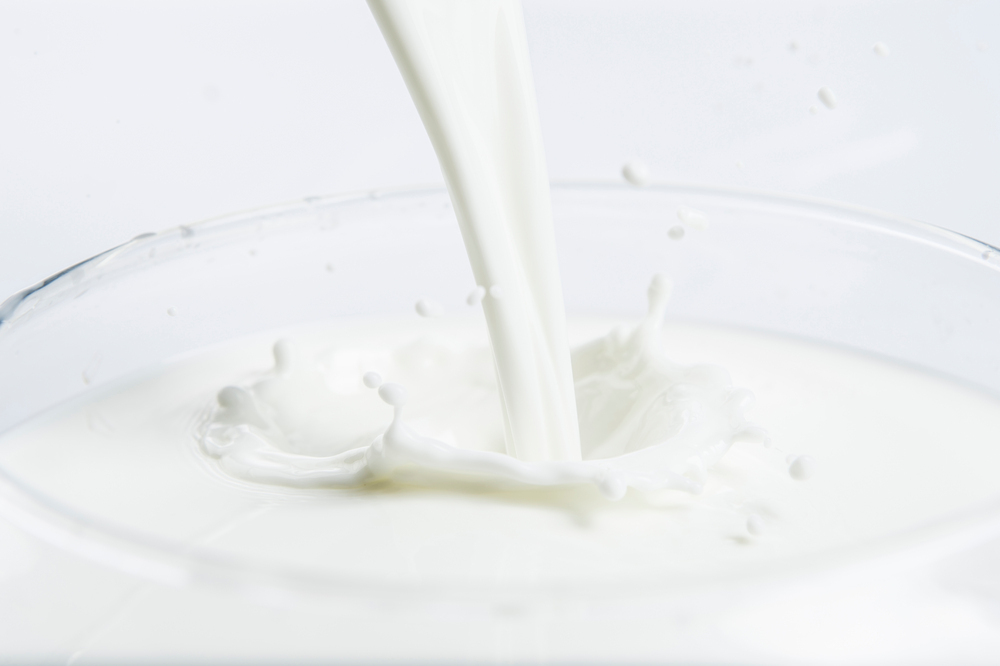 단백질 많은 음식 8가지