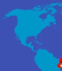 베트남 여행자보험 필수 보장 항목 5가지, 청구 방법