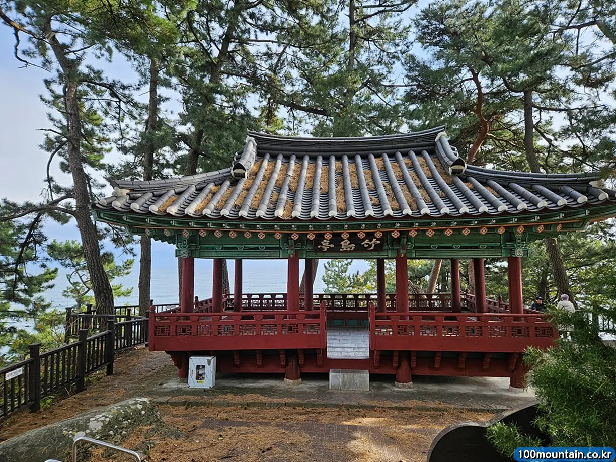 죽도정