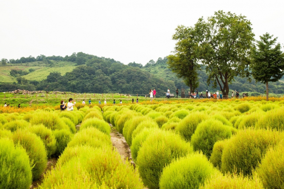 연천 가볼만한곳