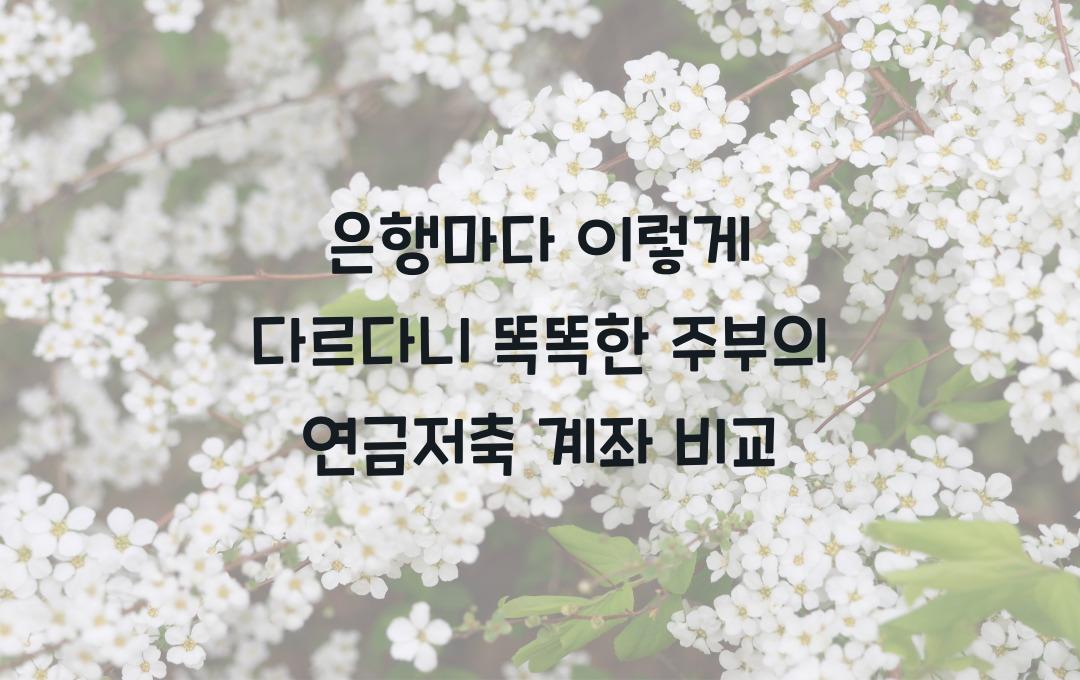 은행마다 이렇게 다르다니! 똑똑한 주부들이 선택한 연금저축 계좌는?