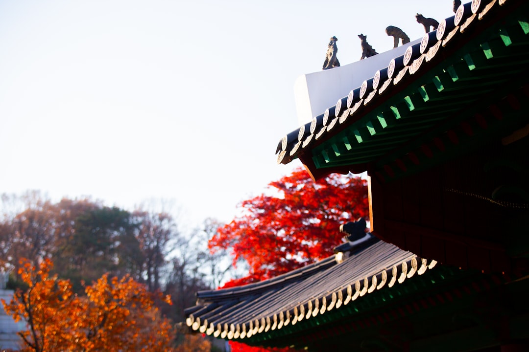 Chosun Ilbo