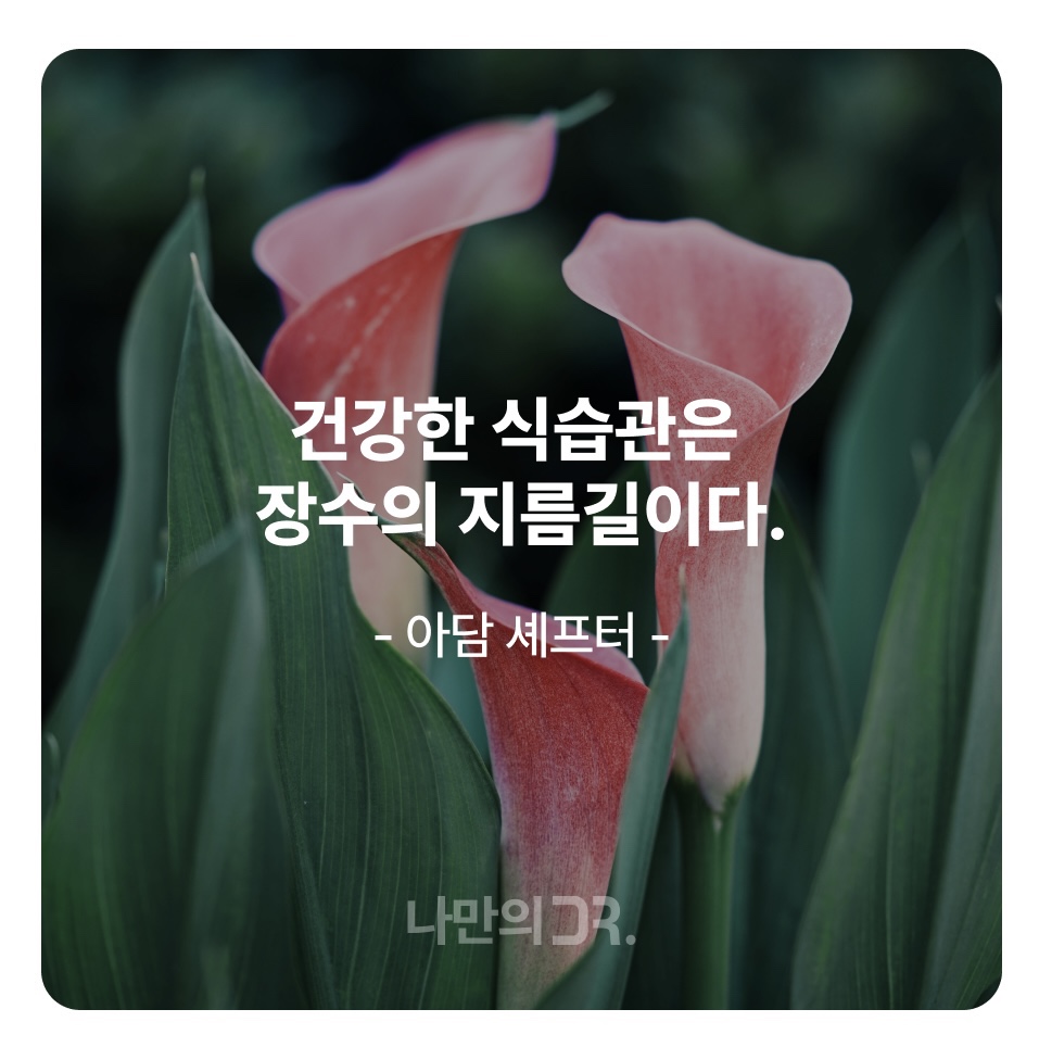 건강 한마디