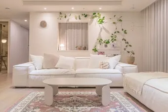 플랜테리어 거실 식물배치 물주기 습도관리 초보 인테리어 팁_6