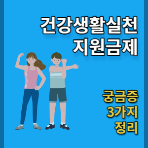 건강생활실천지원금제