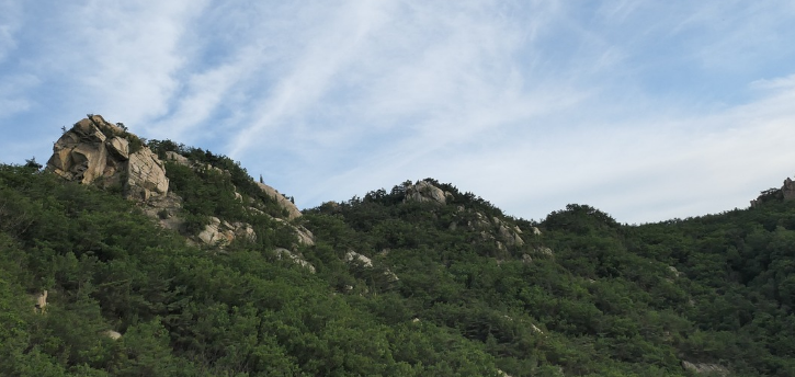 관악산의 모습