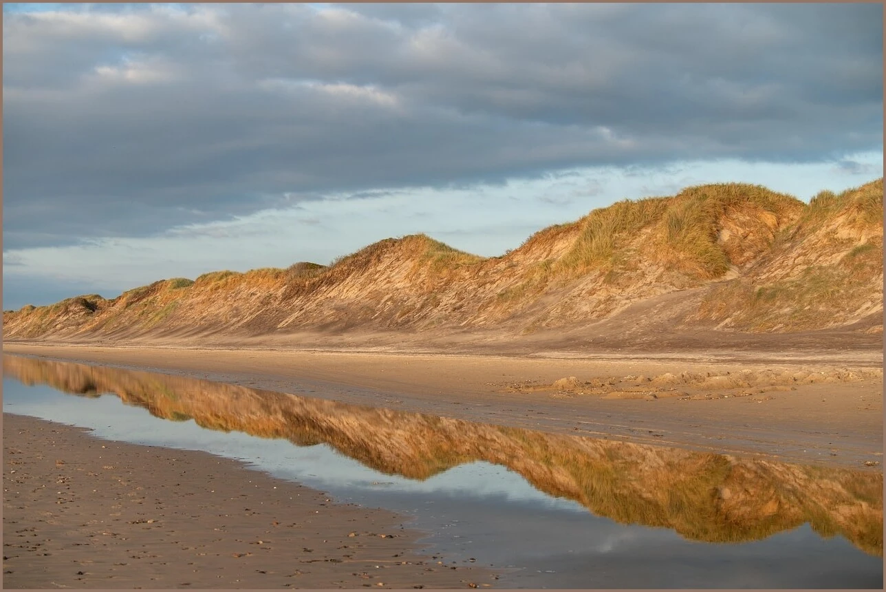수협 정기예금 금리