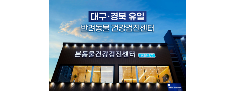 대구 달서구 동물병원