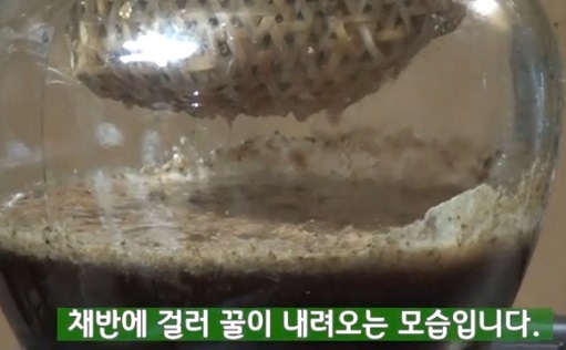 토종꿀채밀