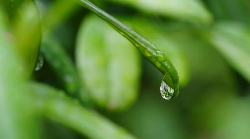 건설업계의 변화