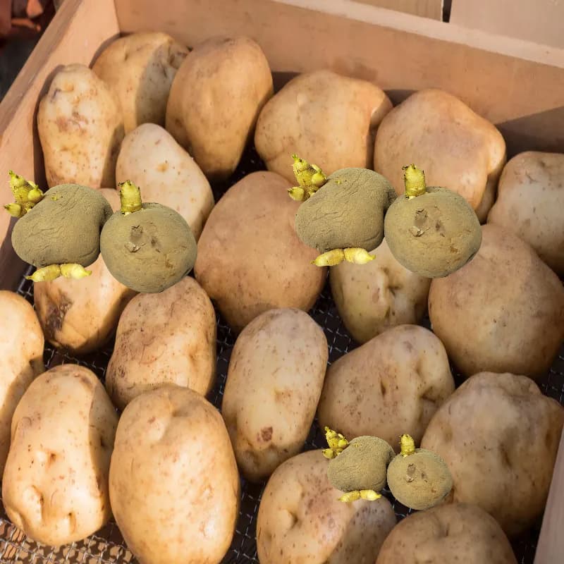 오래 보관하는 3단계 전략