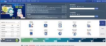 개인통관번호 재발급