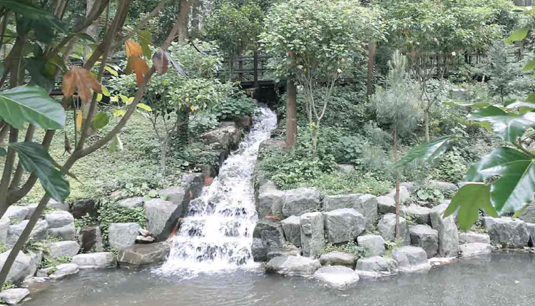 장흥 우드랜드 편백숲