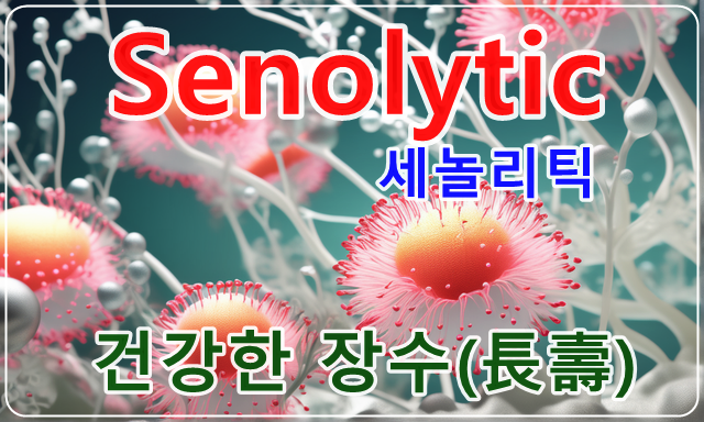 세놀리틱(senolytic) 건강한 장수(長壽)
