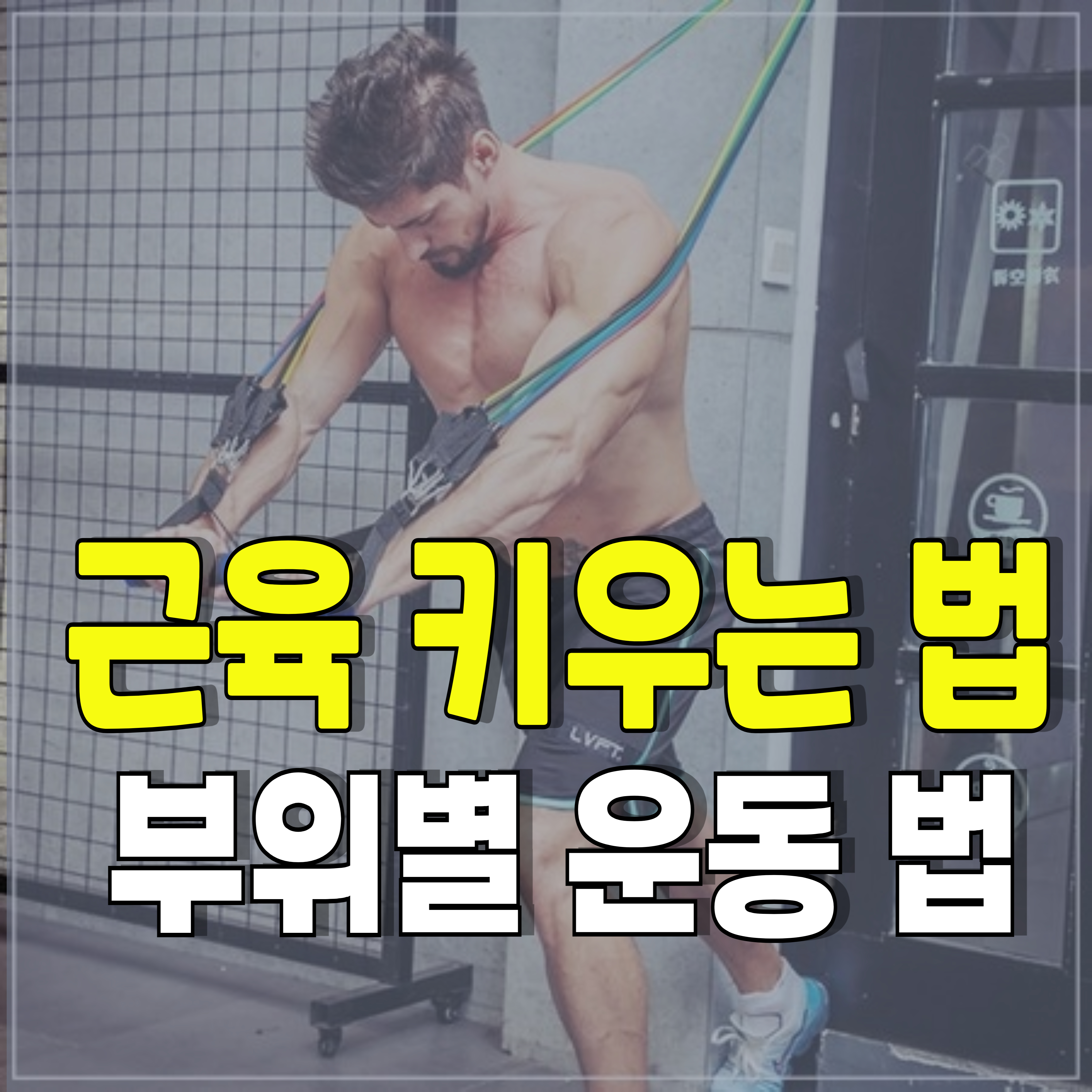 헬스-근력운동-운동가이드-근육키우는법-1