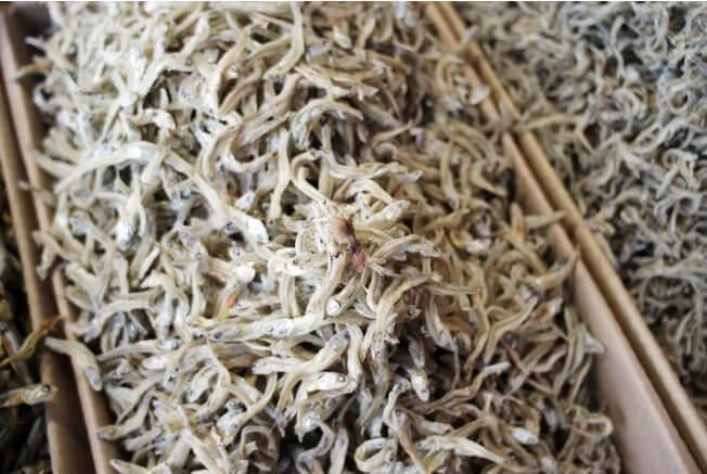 자취생 반찬 추천 냉장고 필수템 BEST 5