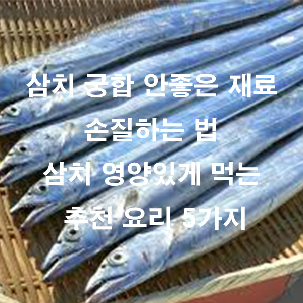 삼치 궁합 안좋은 재료 손질하는 법 삼치 영양있게 먹는 추천 요리 5가지