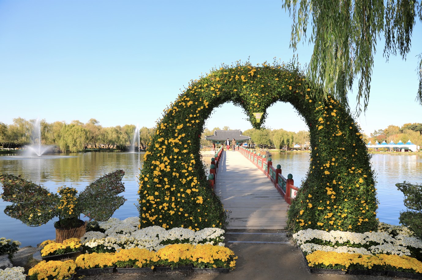 궁남지 - 야경 맛집 연꽃 명소 우리나라 최초의 인공 연못에서 인생샷!
