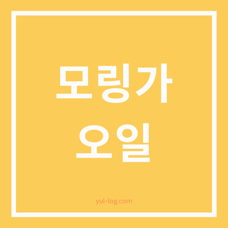 모링가 오일의 효능과 사용법 완벽 정리- 피부, 모발, 건강까지