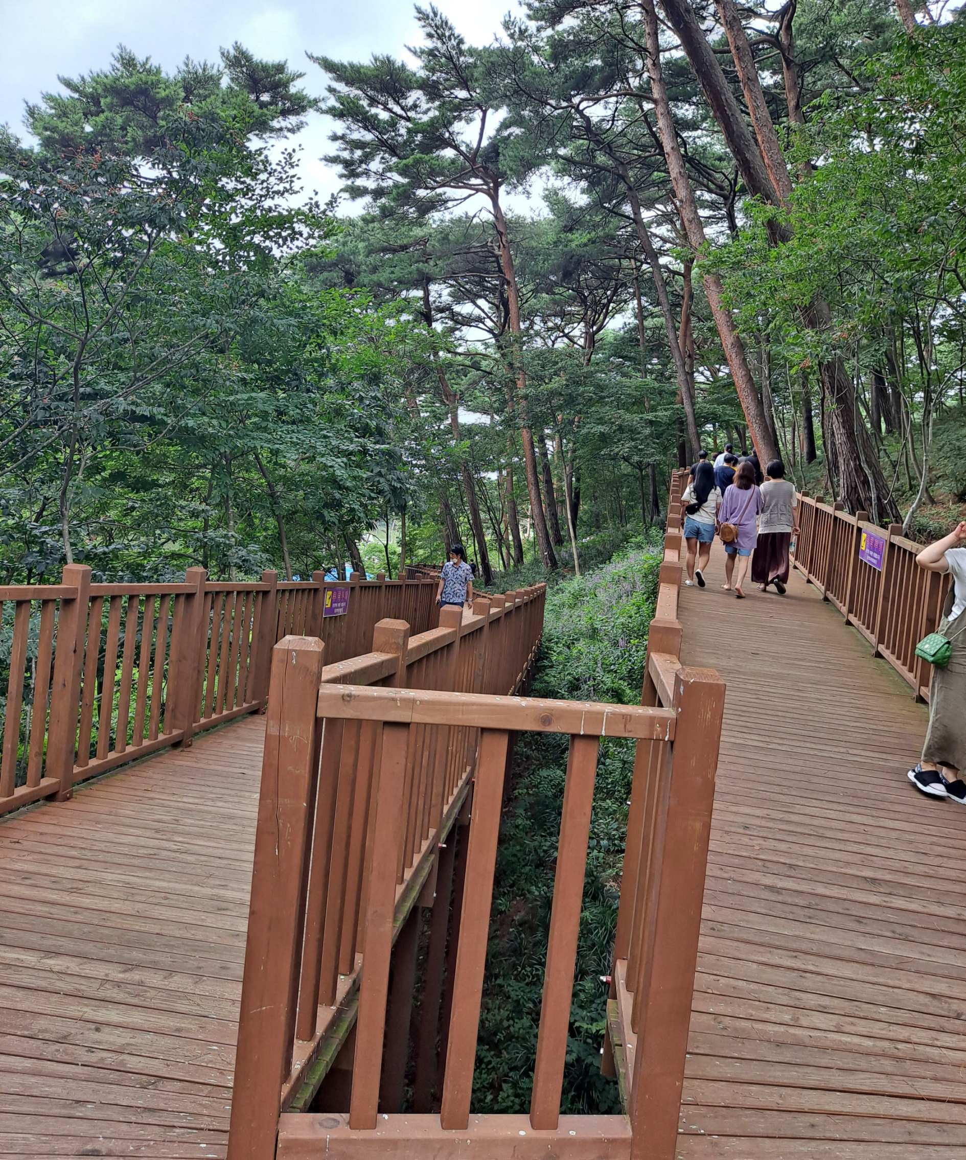 스카이워크 돌아가는길