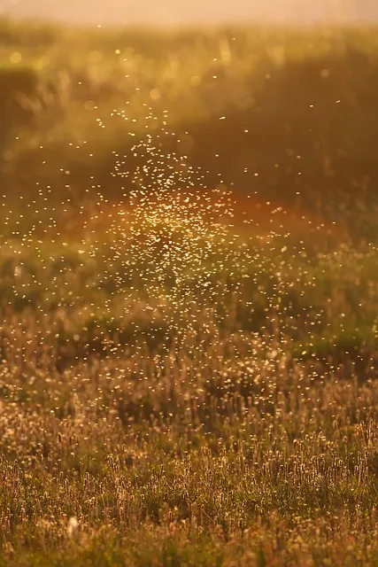 모기 박사님 추천 모기 퇴치법과 여름철 모기 없는 집 만들기 실전 전략_6