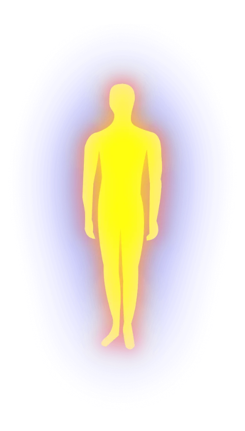 면역 반응의 균형과 회복을 상징하는 이미지