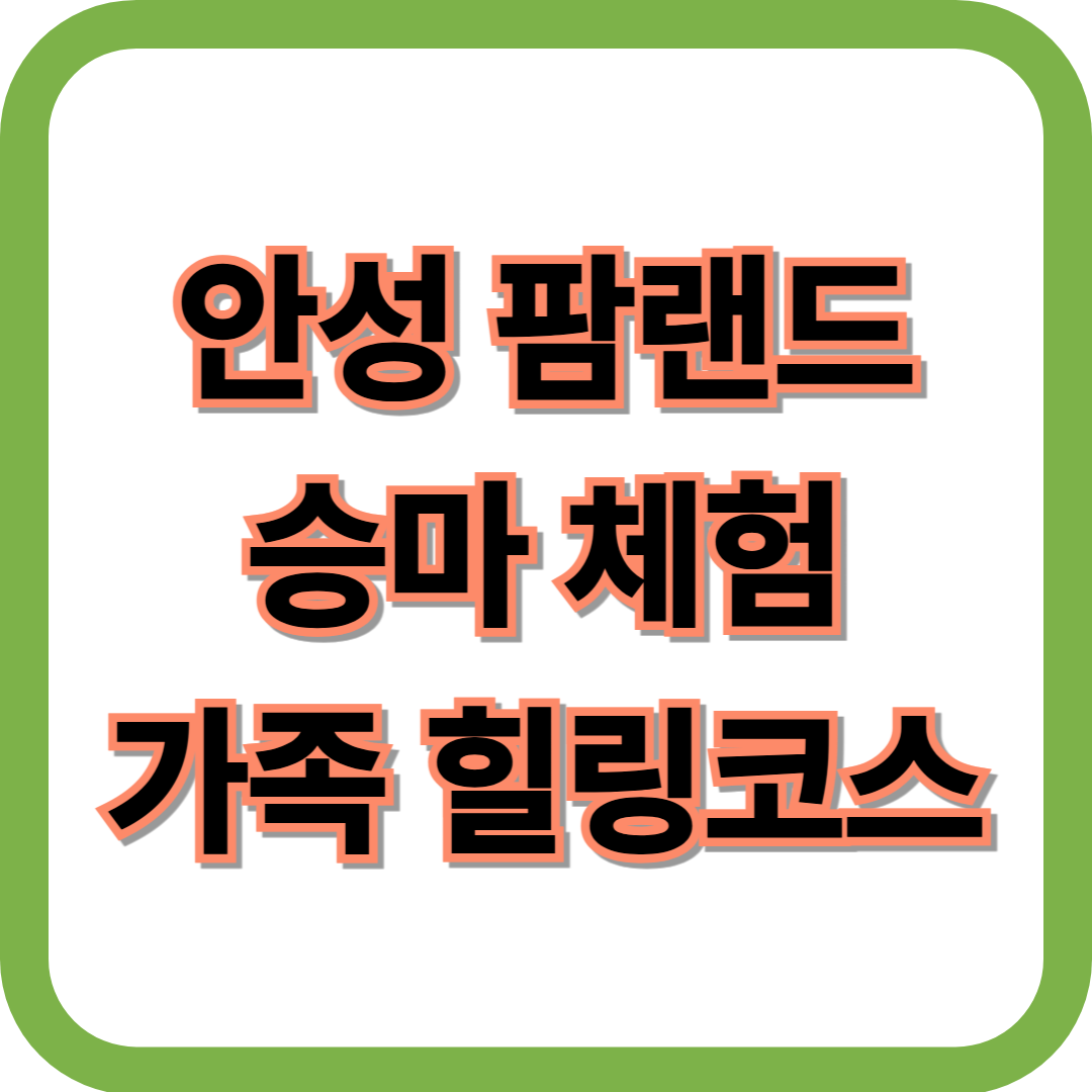 안성팜랜드 승마체험 총정리 ❘ 아이와 함께 즐기는 가족 힐링 코스