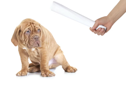 호되게 꾸짖다.