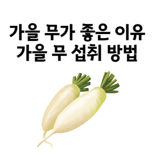 가을 무가 좋은 이유와 섭취 방법