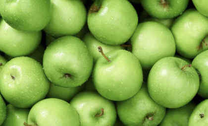 ⑩ 사과(Apple)